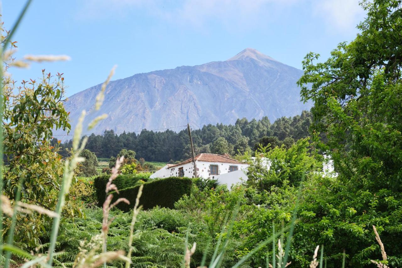 Casa Rural Felipe Luis Сан-Хуан-де-ла-Рамбла Экстерьер фото
