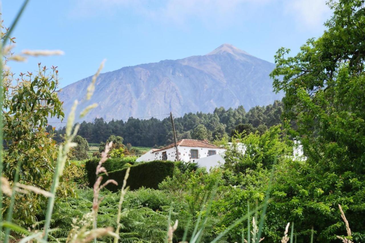 Casa Rural Felipe Luis Сан-Хуан-де-ла-Рамбла Экстерьер фото